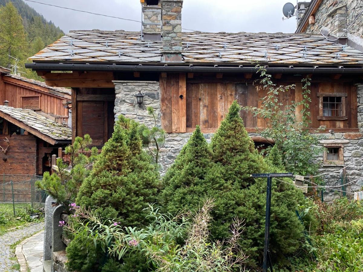 Chalet Cretaz Valtournenche Eksteriør bilde