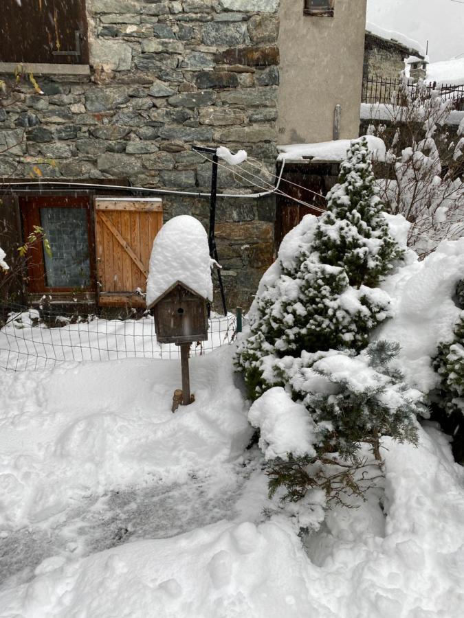 Chalet Cretaz Valtournenche Eksteriør bilde